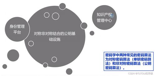 物聯(lián)網(wǎng)安全架構(gòu)、基礎(chǔ)設(shè)施與安全軟件開發(fā) 構(gòu)建可信的互聯(lián)世界